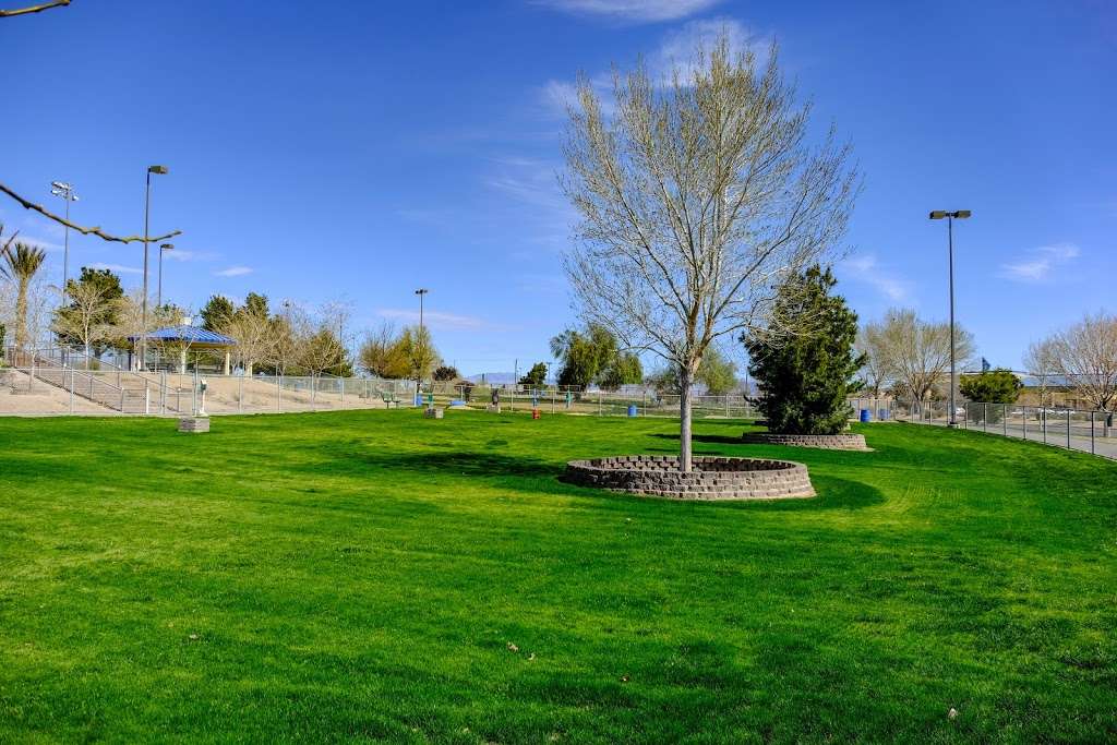 Desert breeze dog park | Las Vegas, NV 89147