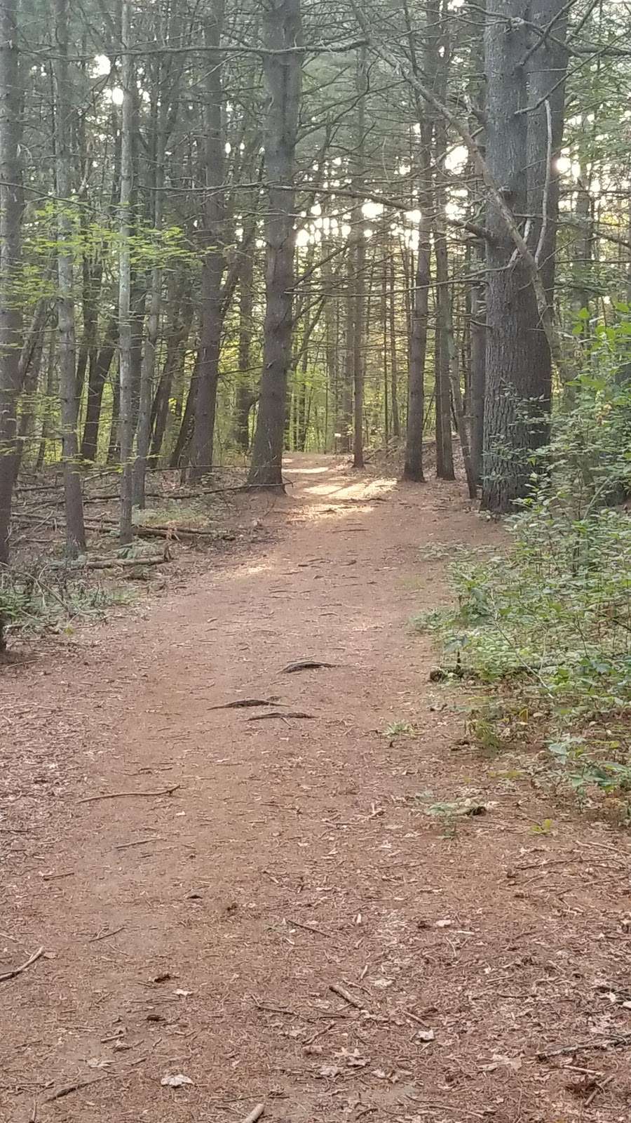 Old Rifle Range | Concord, MA 01742, USA