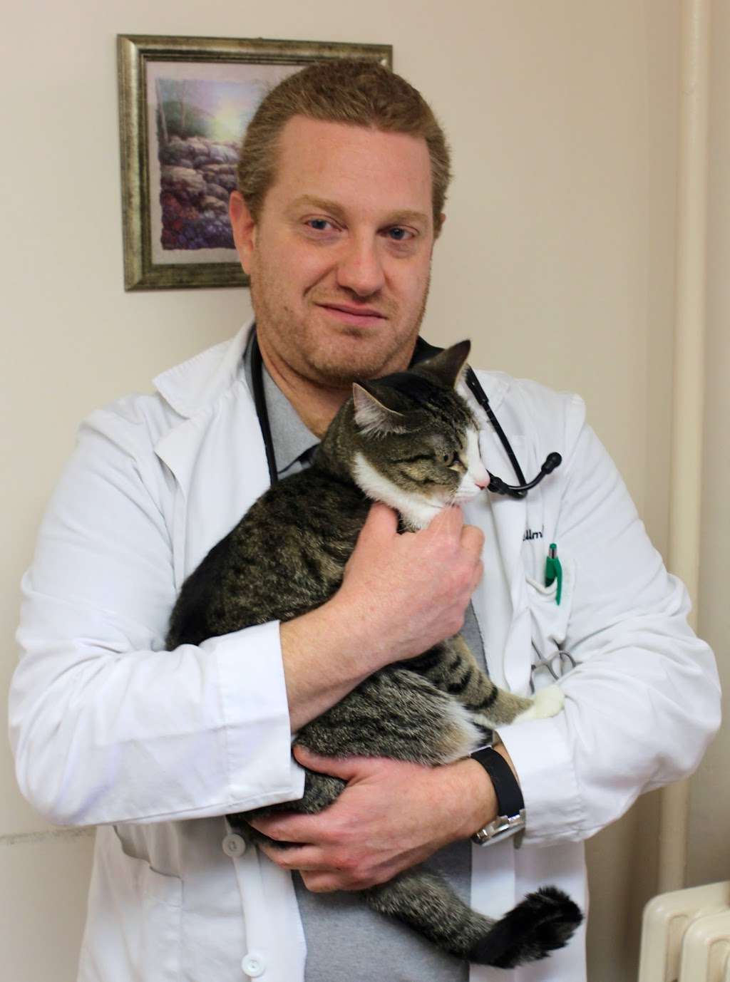 Chestnut Hill Cat Clinic | 8220 Germantown Ave, Philadelphia, PA 19118, USA | Phone: (215) 247-9560