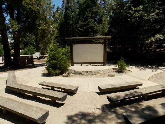 Dogwood Campground | 26898 Rim of the World Hwy, Rimforest, CA 92378, USA | Phone: (877) 444-6777