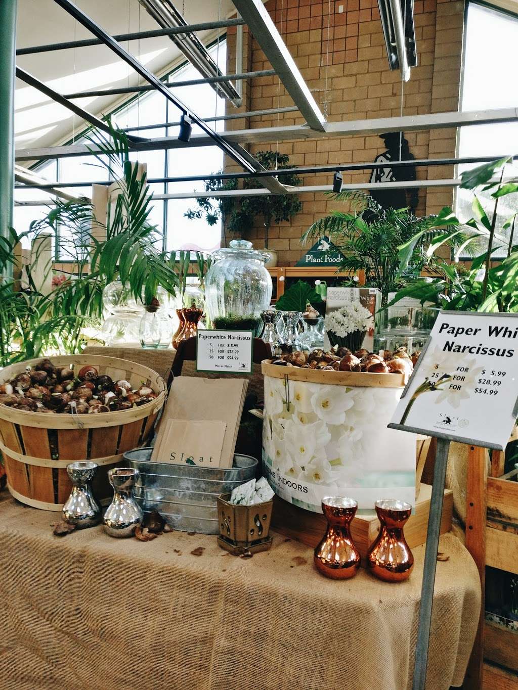 Sloat Garden Center | 2700 Sloat Blvd, San Francisco, CA 94116, USA | Phone: (415) 566-4415