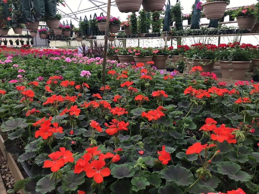 Busy Bs Garden Center | W7449 Co Rd X, Delavan, WI 53115, USA | Phone: (262) 749-3030