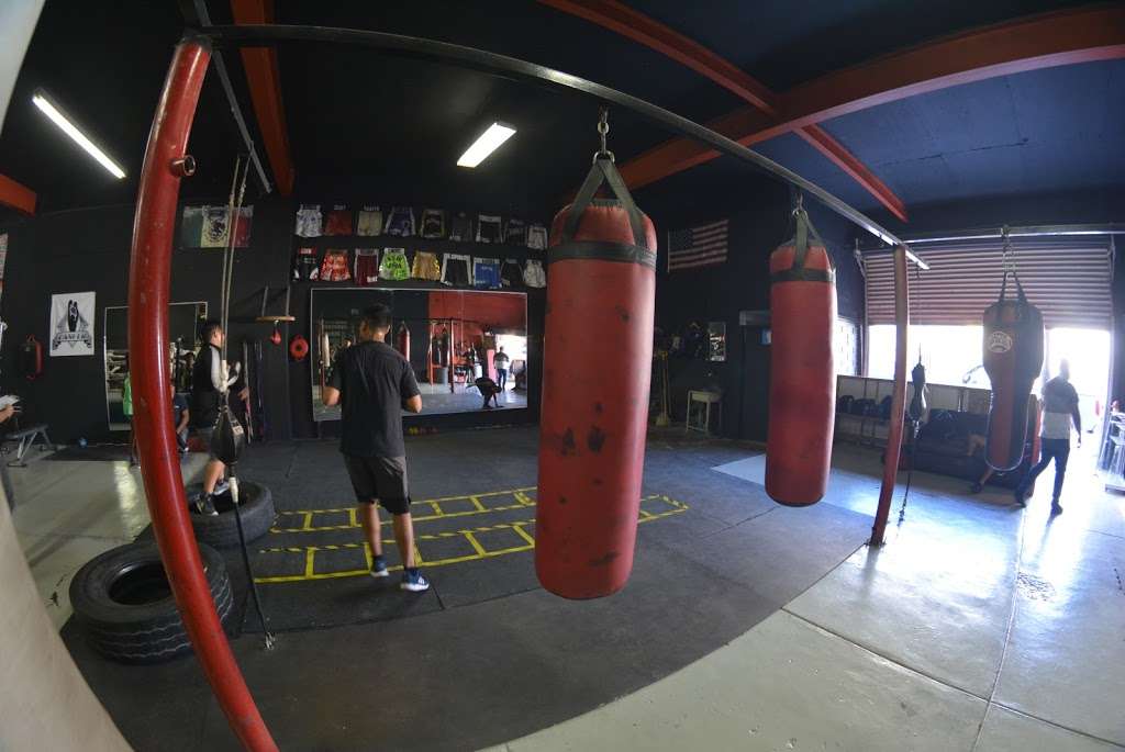 Zapata Boxing Gym | Altata, Campestre Murua, 22455 Tijuana, B.C., Mexico | Phone: 664 322 3040