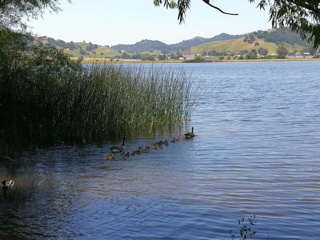 Lagoon Valley Reservoir | Lagoon Valley Rd, Vacaville, CA 95687, USA