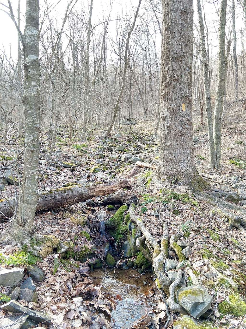 Hazel River Trailhead | Piedmont, VA 22740, USA