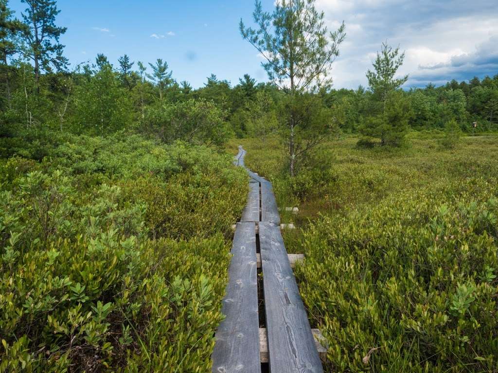 Ponemah Bog | Ponemah Bog Trail, Amherst, NH 03031, USA