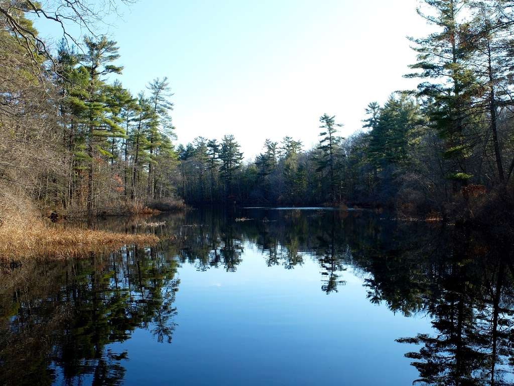 Norris Reservation | Norwell, MA 02061, USA