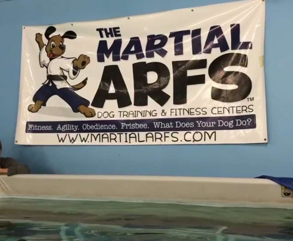 The Martial ARFS Dog Training & Fitness Center | 251 Voice Rd, Carle Place, NY 11514, USA | Phone: (516) 280-8331