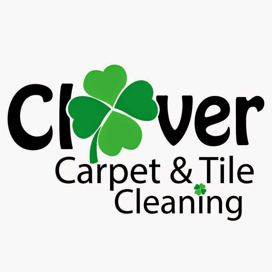 Clover Carpet and Tile Cleaning | 432 Bluebird Ln, Delray Beach, FL 33445, USA | Phone: (561) 201-2838