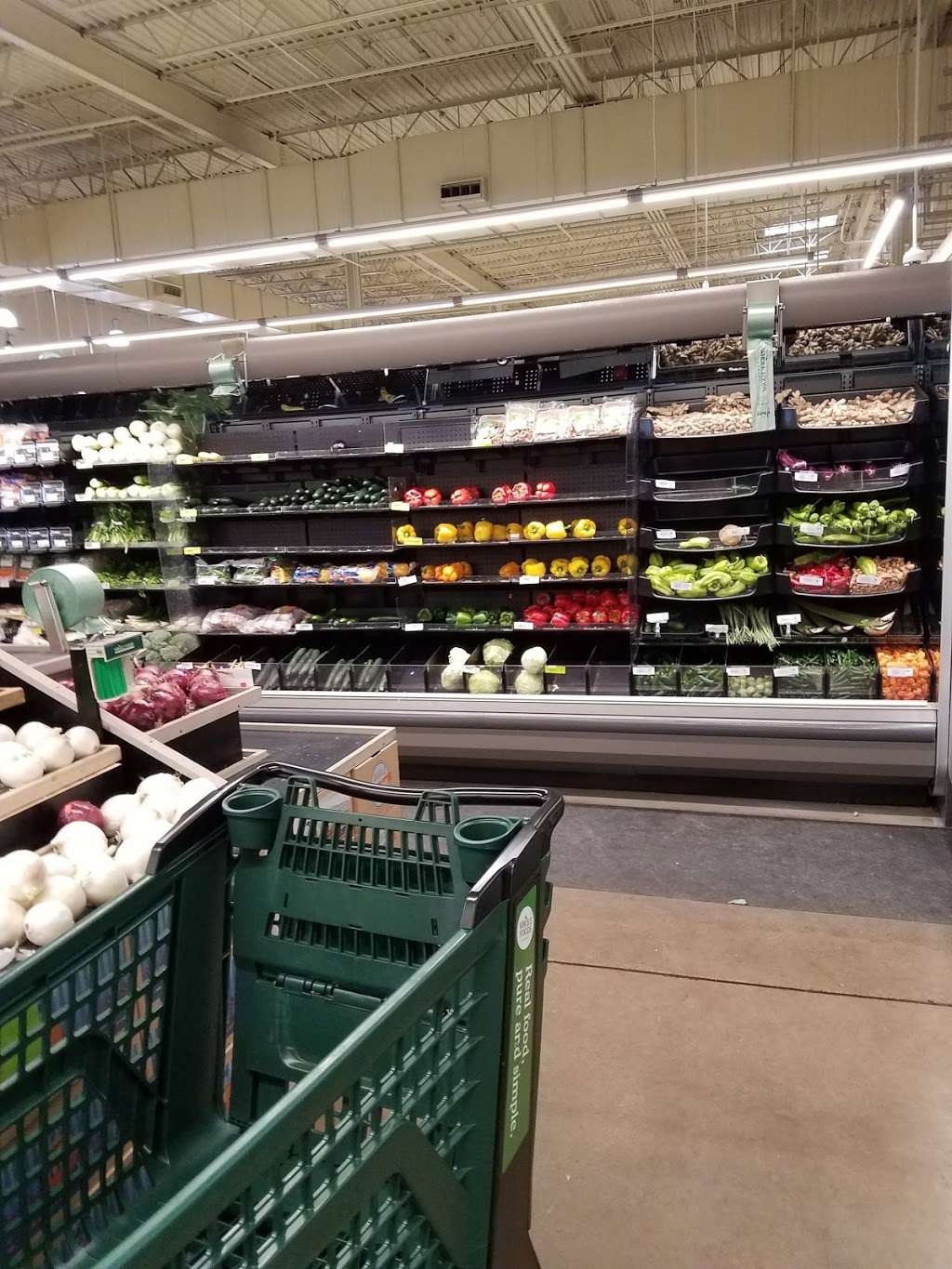 Willow Festival | 840-1090 Willow Rd, Northbrook, IL 60062, USA | Phone: (630) 645-2800 Willow Festival | 840-1090 Willow Rd, Northbrook, IL 60062, USA | Phone: (630) 645-2800