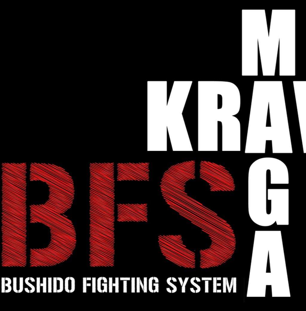 BFS Krav Maga | 1 Downes Rd, St Albans AL4 9NR, UK | Phone: 07789 934553