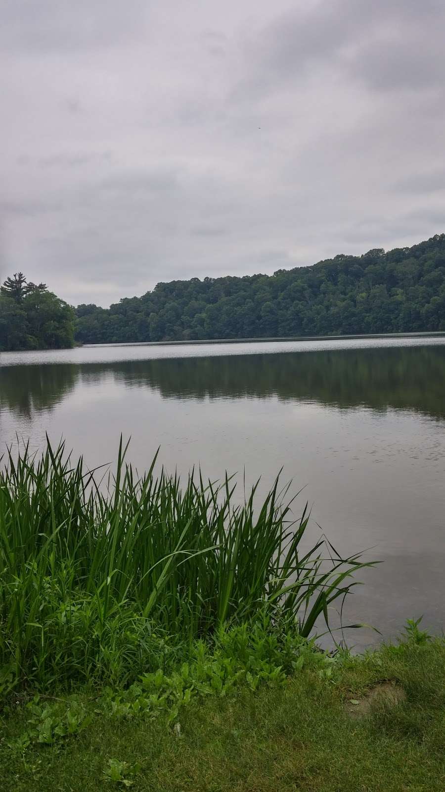 William Kain Park | 274 Hess Farm Rd, York, PA 17407, USA | Phone: (717) 840-7440