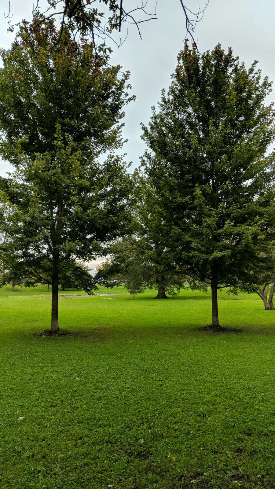 Picnic Grove | Chicago, IL 60657, USA