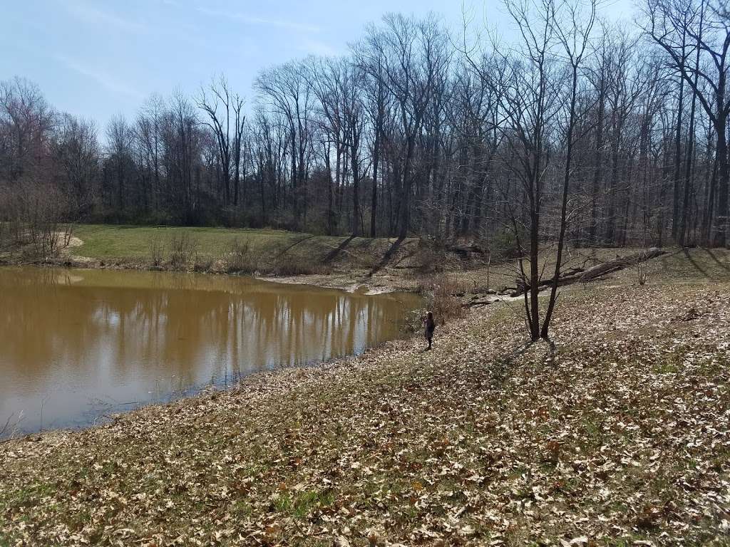 Ardsley Wildlife Sanctuary | Jefferson Ave, Glenside, PA 19038, USA