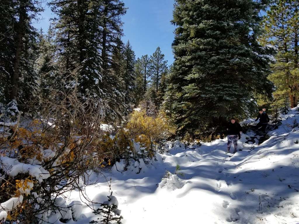 Forsythe Canyon Trailhead | Forest Service Rd 359, Nederland, CO 80466, USA