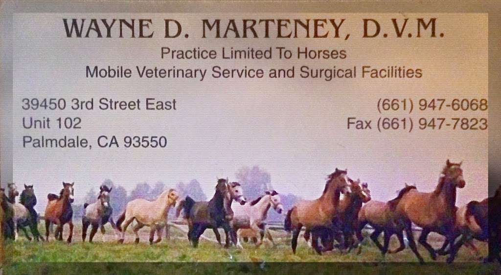 Marteney Wayne DVM - dentist  | Photo 1 of 1 | Address: 39450 3rd St E #102, Palmdale, CA 93550, USA | Phone: (661) 947-6068