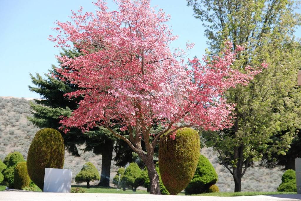 Dry Creek Cemetery | 9600 Hill Rd, Boise, ID 83714, USA | Phone: (208) 853-1940