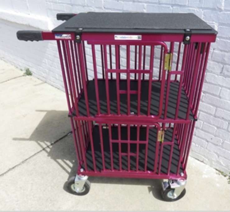 Dogs Day Out Best In Show Trolleys of Northeast Distributor | 682 Heyer Mill Rd, Nazareth, PA 18064 | Phone: (610) 759-7669