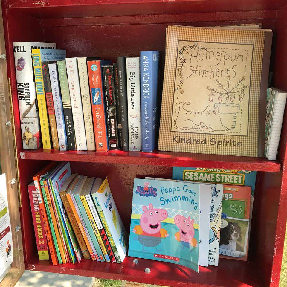 North Avenue Little Free Library | 225 North Ave, Sycamore, IL 60178, USA