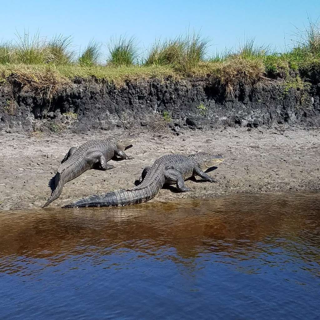 Canaveral Marshes Conservation Trailhead | 4755 Cheney Hwy, Titusville, FL 32780, USA | Phone: (386) 329-4404