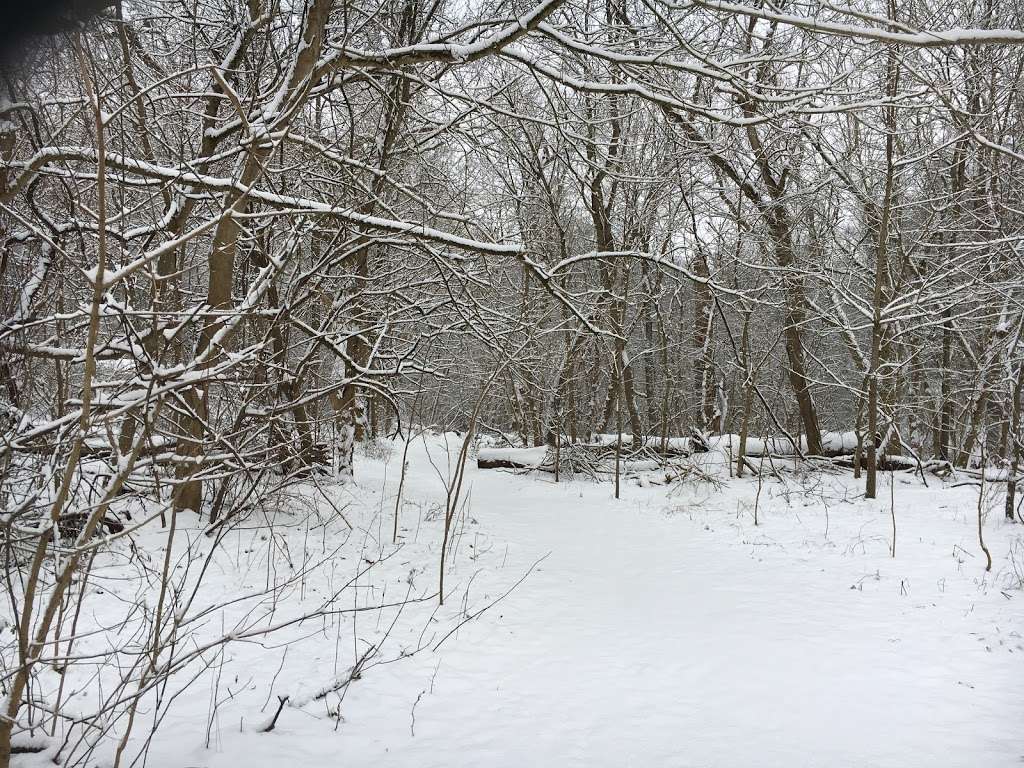 Fox Hollow Nature Preserve | 39°5356. 76°2030., 5 W 4th St, Quarryville, PA 17566, USA