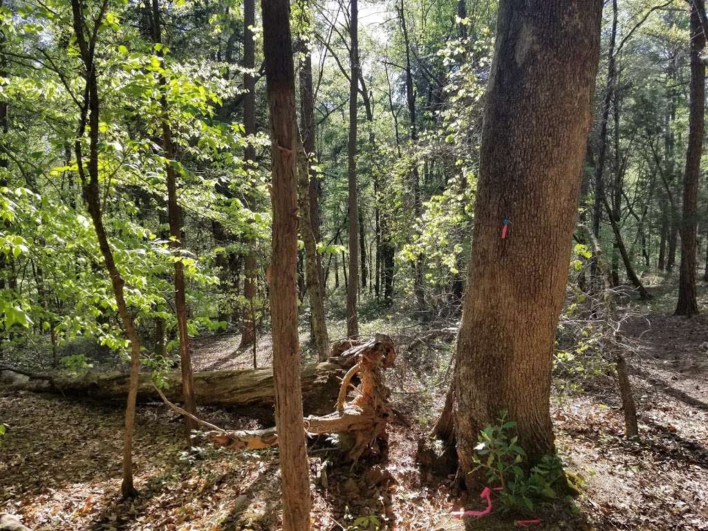 Stephens Road Nature Preserve | 5901 Stephens Rd, Huntersville, NC 28078, USA