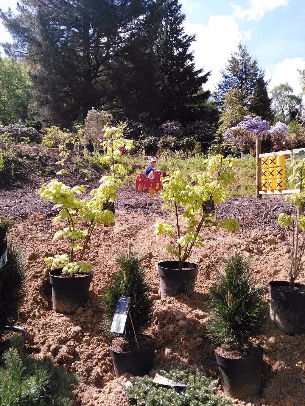 Reuthes Nursery & Gardens | Crown Point Nursery, Sevenoaks Rd, Seal Chart, Sevenoaks TN15 0HB, UK | Phone: 07415 555007