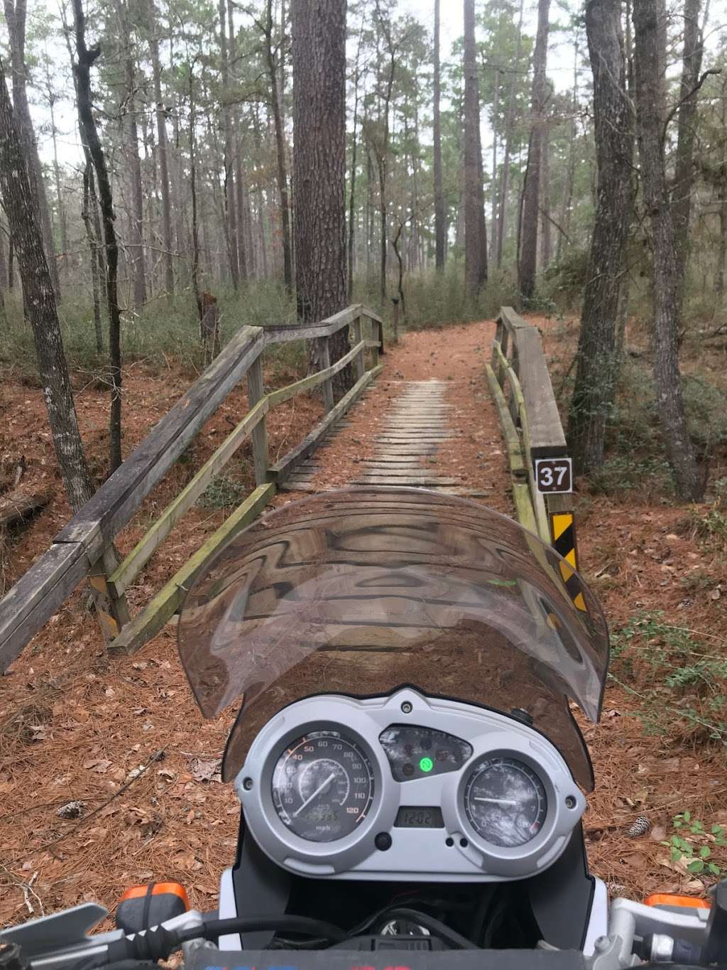 Sam Houston National Forest - Stubblefield Trailhead | Unnamed Road, Montgomery, TX 77356, USA