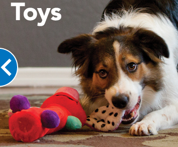 PetSmart | 2475 E Baseline Rd, Phoenix, AZ 85042, USA | Phone: (602) 232-1090