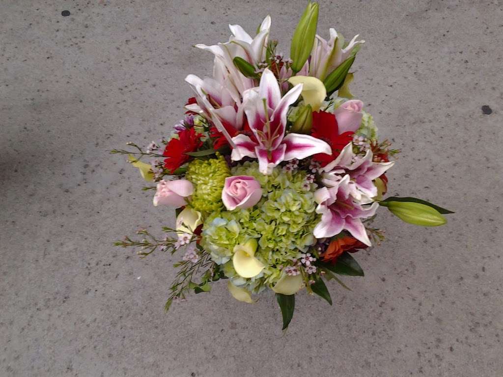 French Florist by Alber | 11920 Chandler Blvd, Valley Village, CA 91607, USA | Phone: (818) 506-1661 French Florist by Alber | 11920 Chandler Blvd, Valley Village, CA 91607, USA | Phone: (818) 506-1661