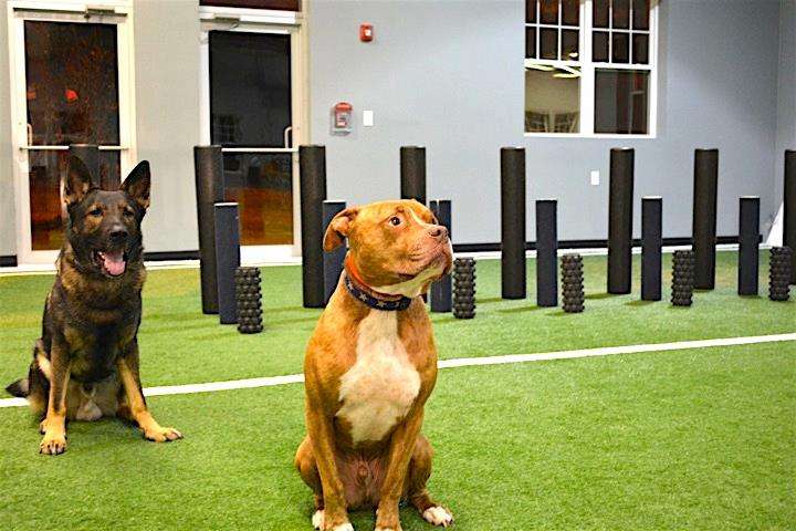 IPF, INSTITUTE OF PERFORMANCE & FITNESS | 303 Main St, North Reading, MA 01864, USA | Phone: (978) 289-4177