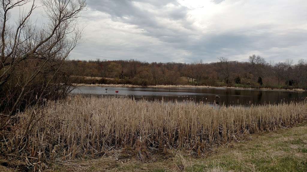 State Game Lands Number 243 in 2398 Gameland Rd, Dillsburg, PA 17019, USA