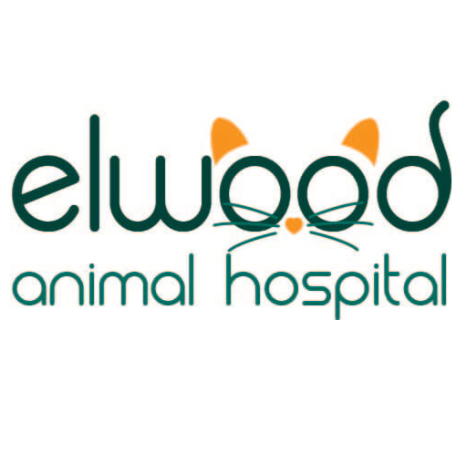 Elwood Animal Hospital | 10080 IN-37, Elwood, IN 46036 | Phone: (765) 552-9851