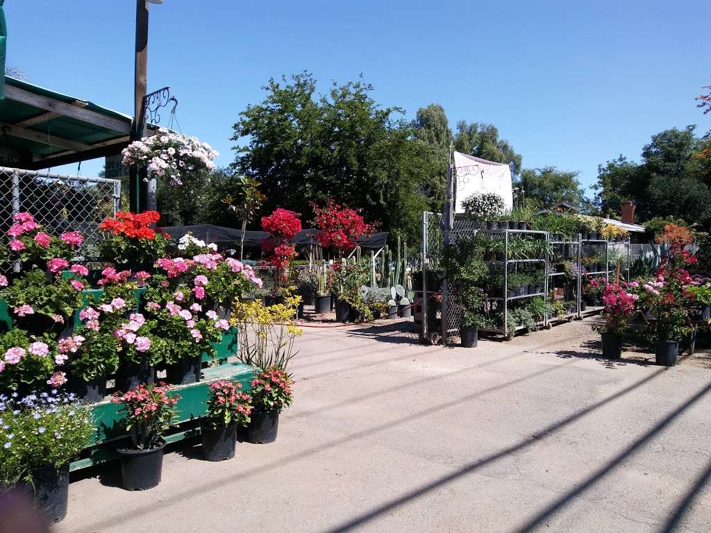 Javier Flowers & Garden Inc | 1970 N Twin Oaks Valley Rd, San Marcos, CA 92069, USA | Phone: (760) 591-0271