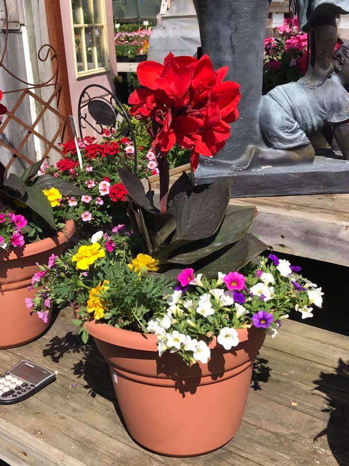 H & S Floral and Garden Center | 2621 U.S. 12, Michigan City, IN 46360, USA | Phone: (219) 879-4047
