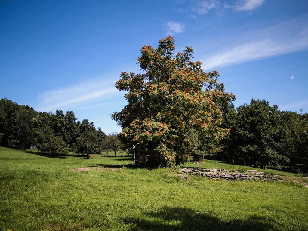 Appalachian Trail | State Line Rd, Westtown, NY 10998