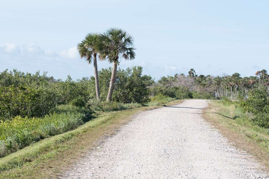 Biolab Boat Ramp | Marguerite, Florida, USA