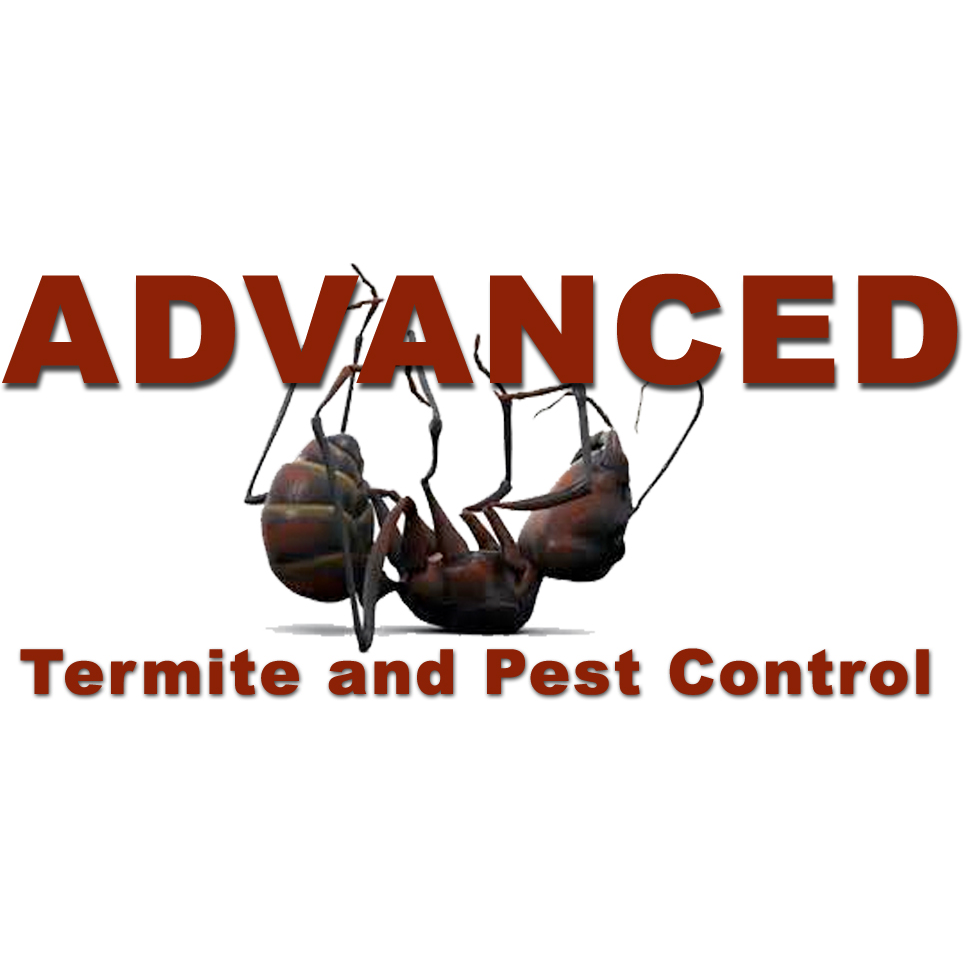 Advanced Termite and Pest Control | 1022 S Valley Forge Rd, Norristown, PA 19403, USA | Phone: (610) 613-1402