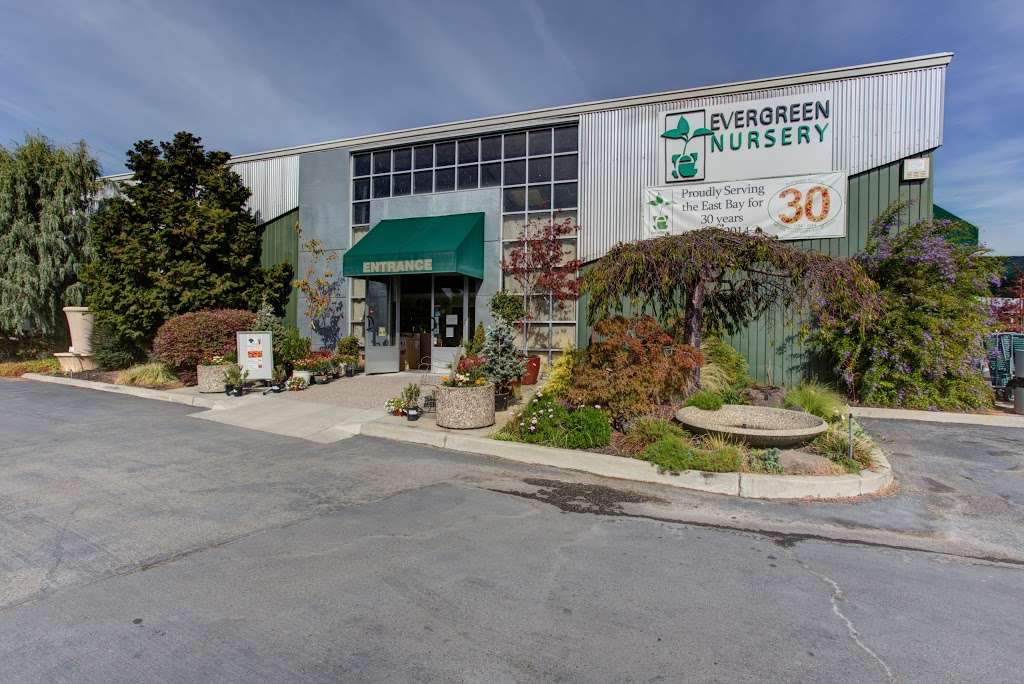 Evergreen Nursery - The Bays Friendly Garden Experts | 350 San Leandro Blvd, San Leandro, CA 94577, United States | Phone: (510) 632-1522