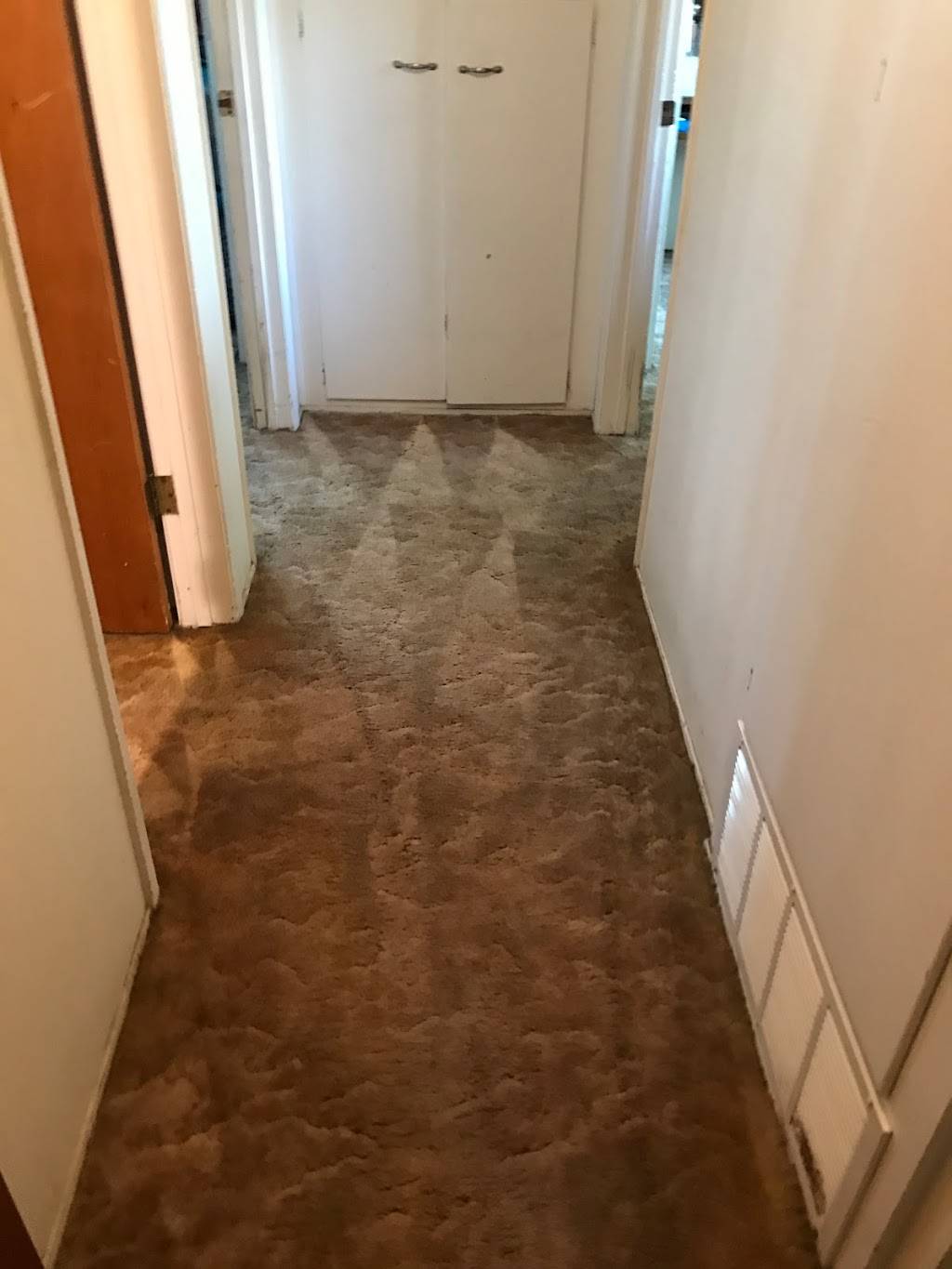 Dr. Carpet Anaheim | 1105 E Katella Ave #336, Anaheim, CA 92805, USA | Phone: (949) 441-4413