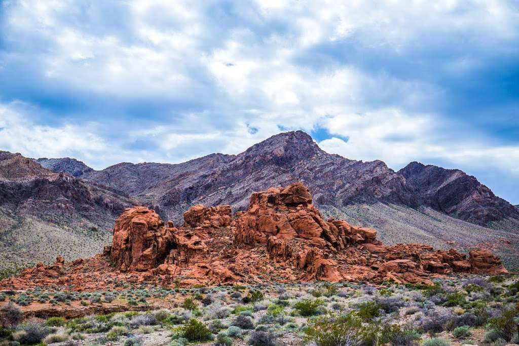 Beehives | Valley of Fire Hwy, Overton, NV 89040