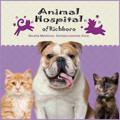 Animal Hospital of Richboro | 700 2nd St Pike, Richboro, PA 18954, USA | Phone: (215) 322-9900