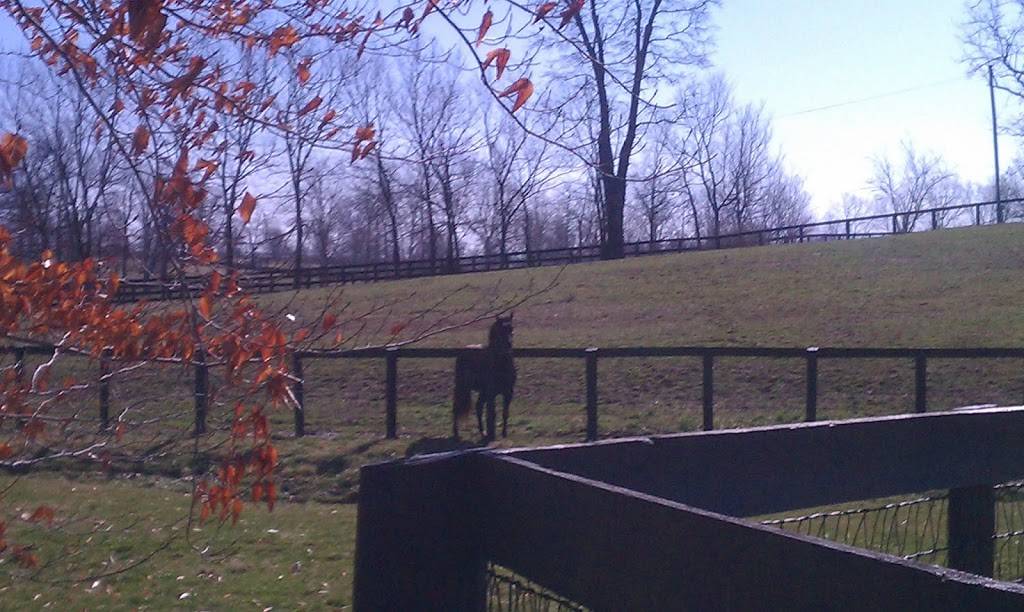 Horses of Kentucky | 333 Duke Rd, Lexington, KY 40502 | Phone: (859) 277-4625