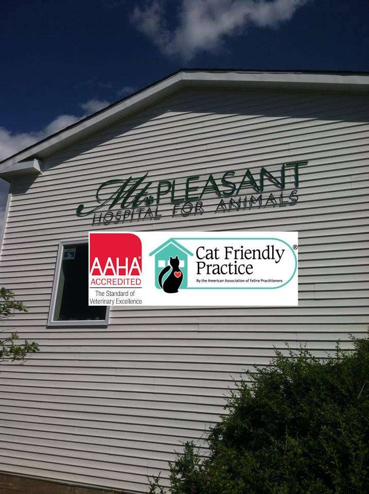 Mt. Pleasant Hospital for Animals | 119 Mt Pleasant Rd, Newtown, CT 06470, USA | Phone: (203) 426-8585