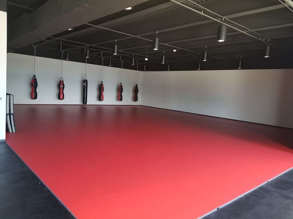 Rogue Jiu-Jitsu Studio | 801 Patriot Way, Flower Mound, TX 75028, USA | Phone: (214) 585-3865