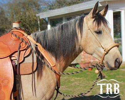 Traditional Rawhide Braiders | 4103 Camp Bowie Blvd, Fort Worth, TX 76107, USA | Phone: (817) 295-5024