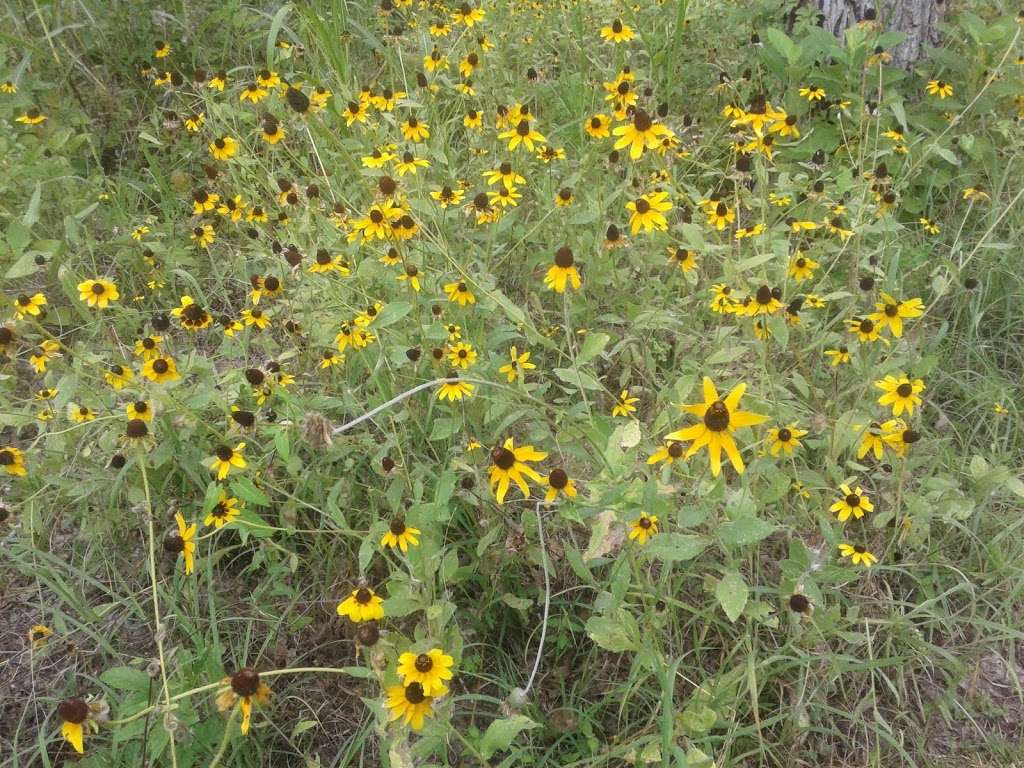 Rodriguez Trailhead | San Antonio, TX 78227, USA