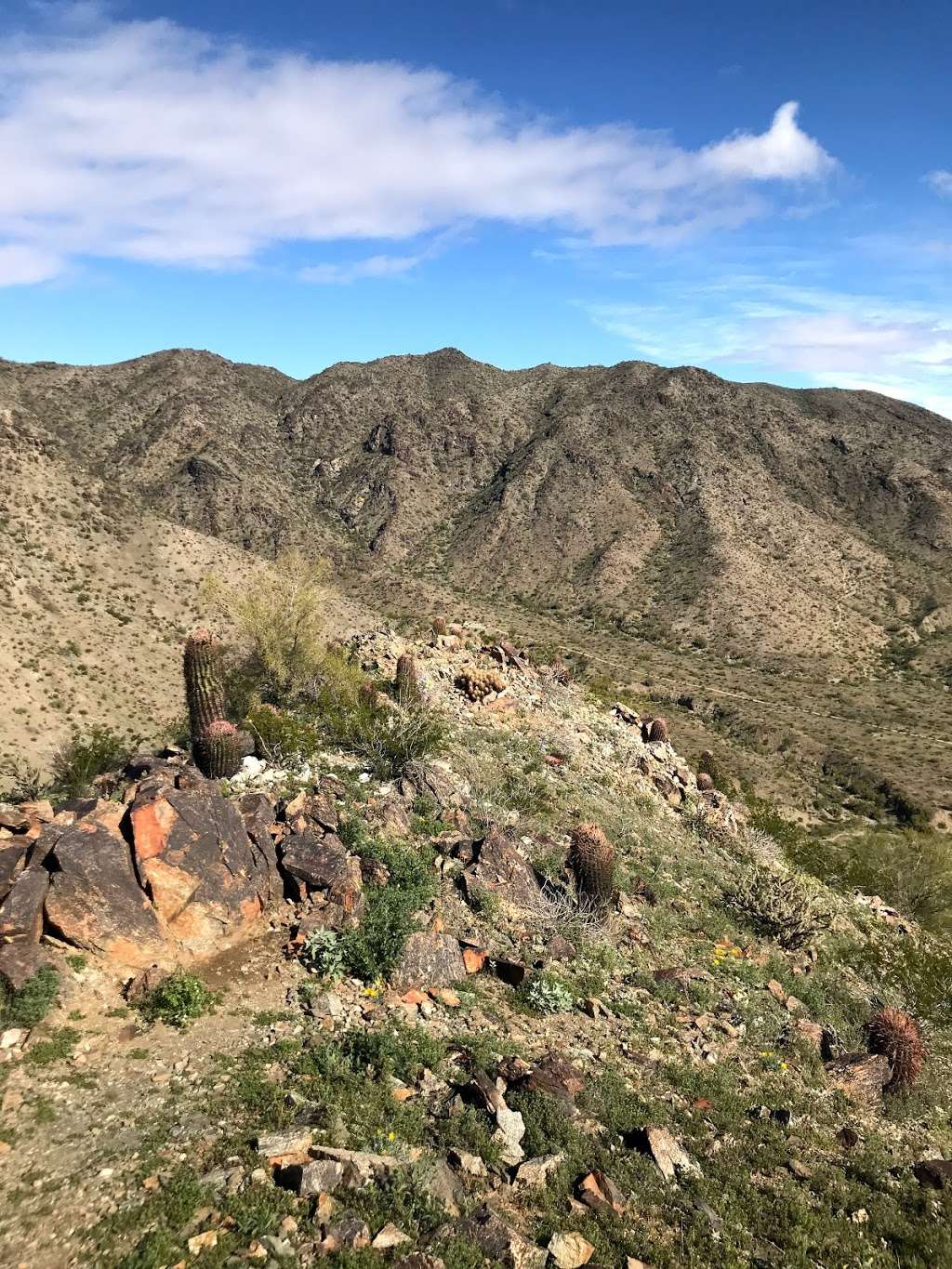 Bursera Peak | Phoenix, AZ 85045, USA