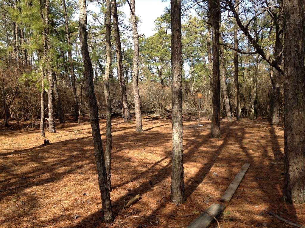 Cape Henlopen Disc Golf Course | Lewes, DE 19958, USA