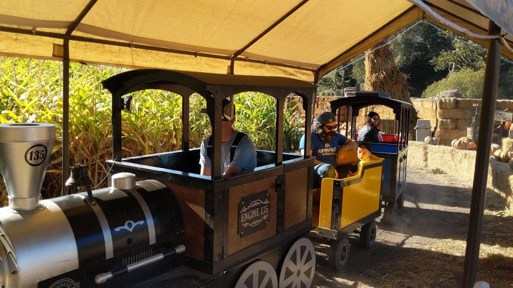 Aratas Pumpkin Farm | 185 Verde Rd, Half Moon Bay, CA 94019, USA | Phone: (650) 726-7548